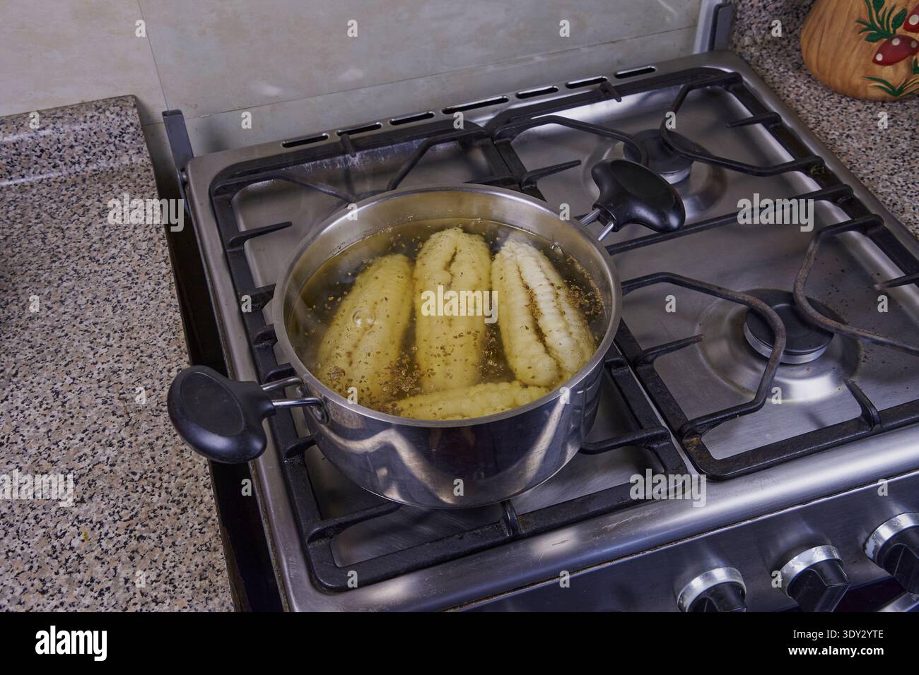 Preparing fresh corn cobs in boiling water on a kitchen stove Stock Photo