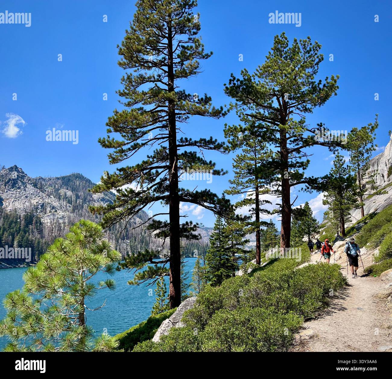 Hikers on Tahoe Rim Trail/Pacific Crest Trail above Lower Echo Lake, CA - Smartphone Captured Stock Image