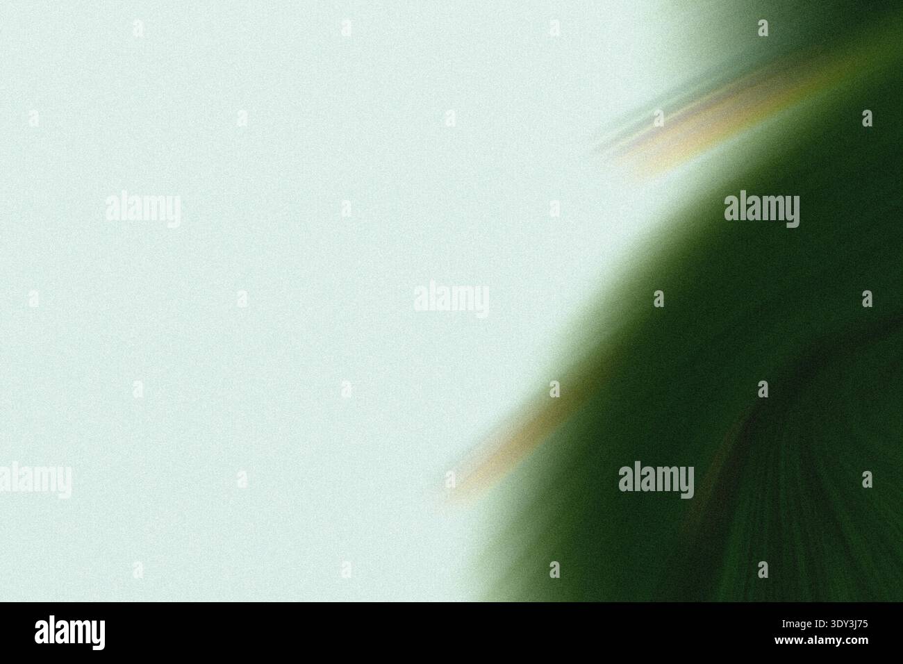 Delicate Green Leaf Close-Up Stock Photo