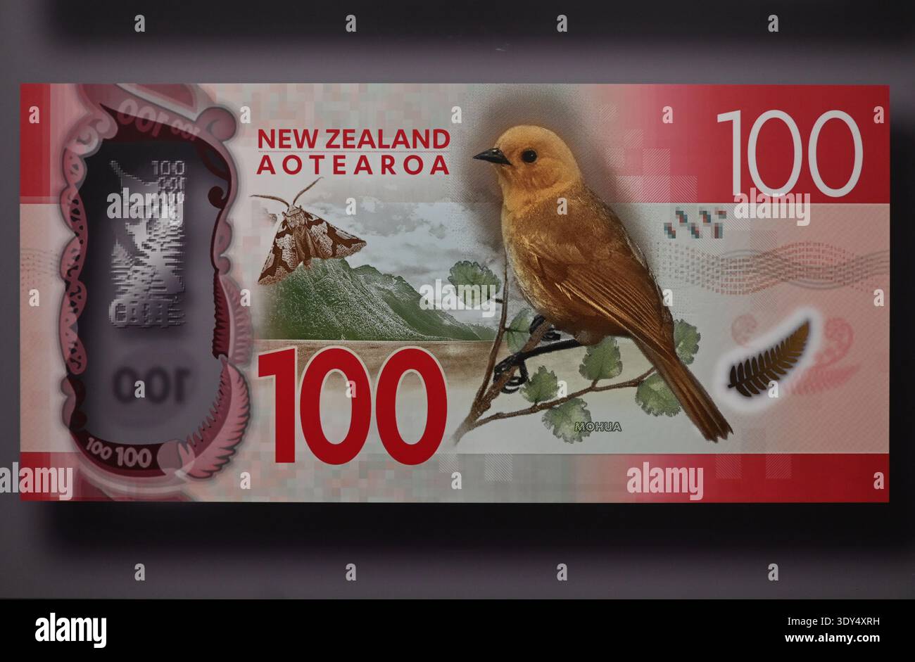 A New Zealand $100 note is seen at the Reserve Bank of New Zealand in ...