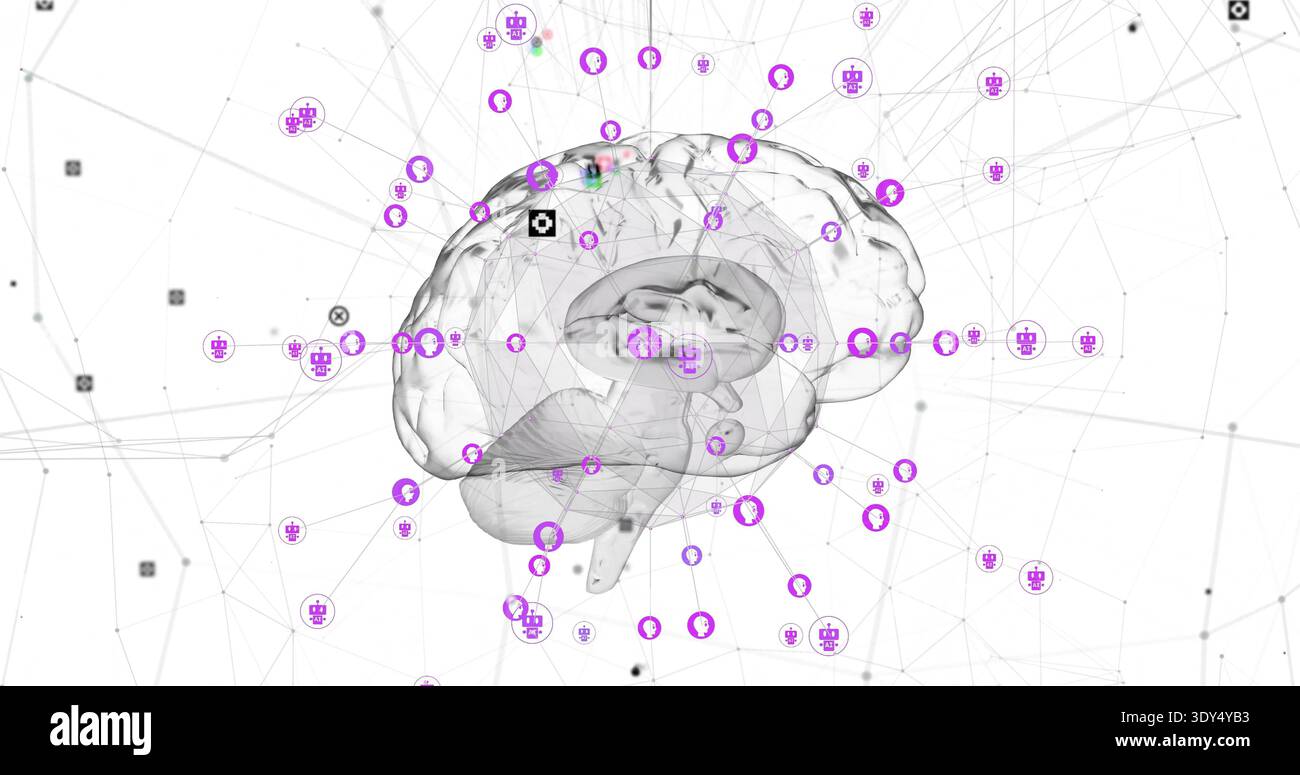 Translucent Brain Model Revealing translucent brain model showing cortex on white canvas, with ...