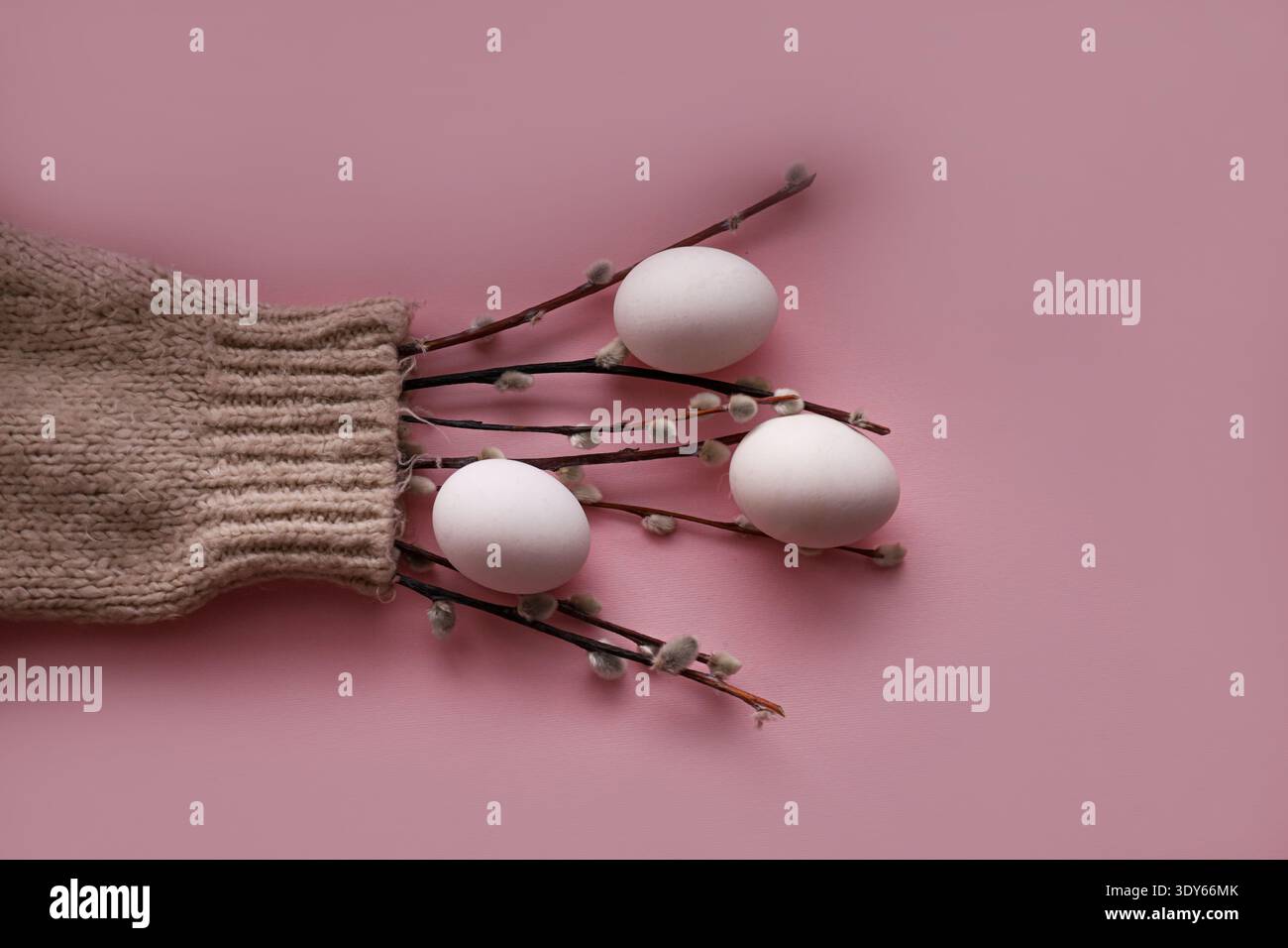 Willow catkins and eggs arranged inside a knitted sweater sleeve Stock Photo