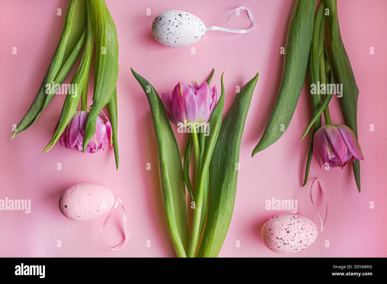 Minimal floral composition with tulips and egg decorations Stock Photo