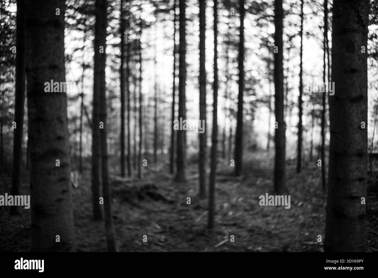 Wide sh Black and White Stock Photos & Images - Alamy