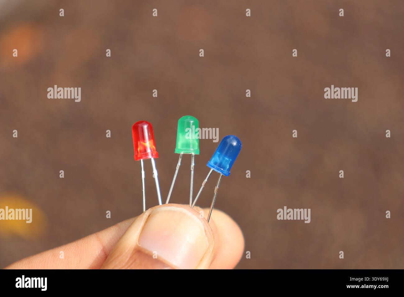 Multi colored light emitting diodes unlit and its connecting pins held in the hand on natural light background Stock Photo