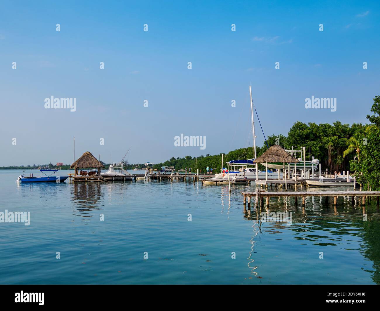 Waterfront view of Caye Caulker with boats and palm trees under a clear sky in Belize District Stock Photo