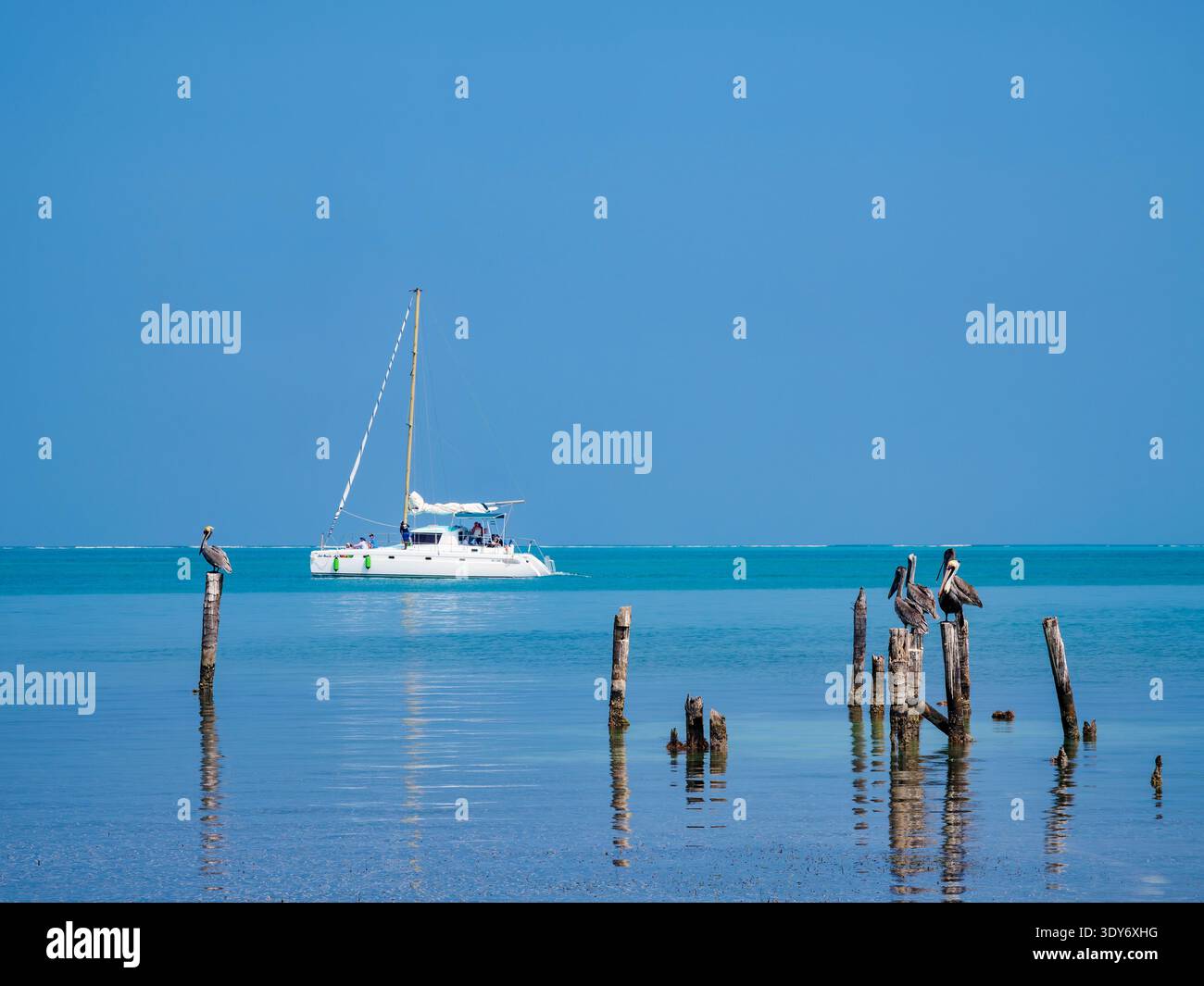 Explore a sailboat in the blue waters near Caye Caulker in Belize during a sunny day with birds nearby Stock Photo