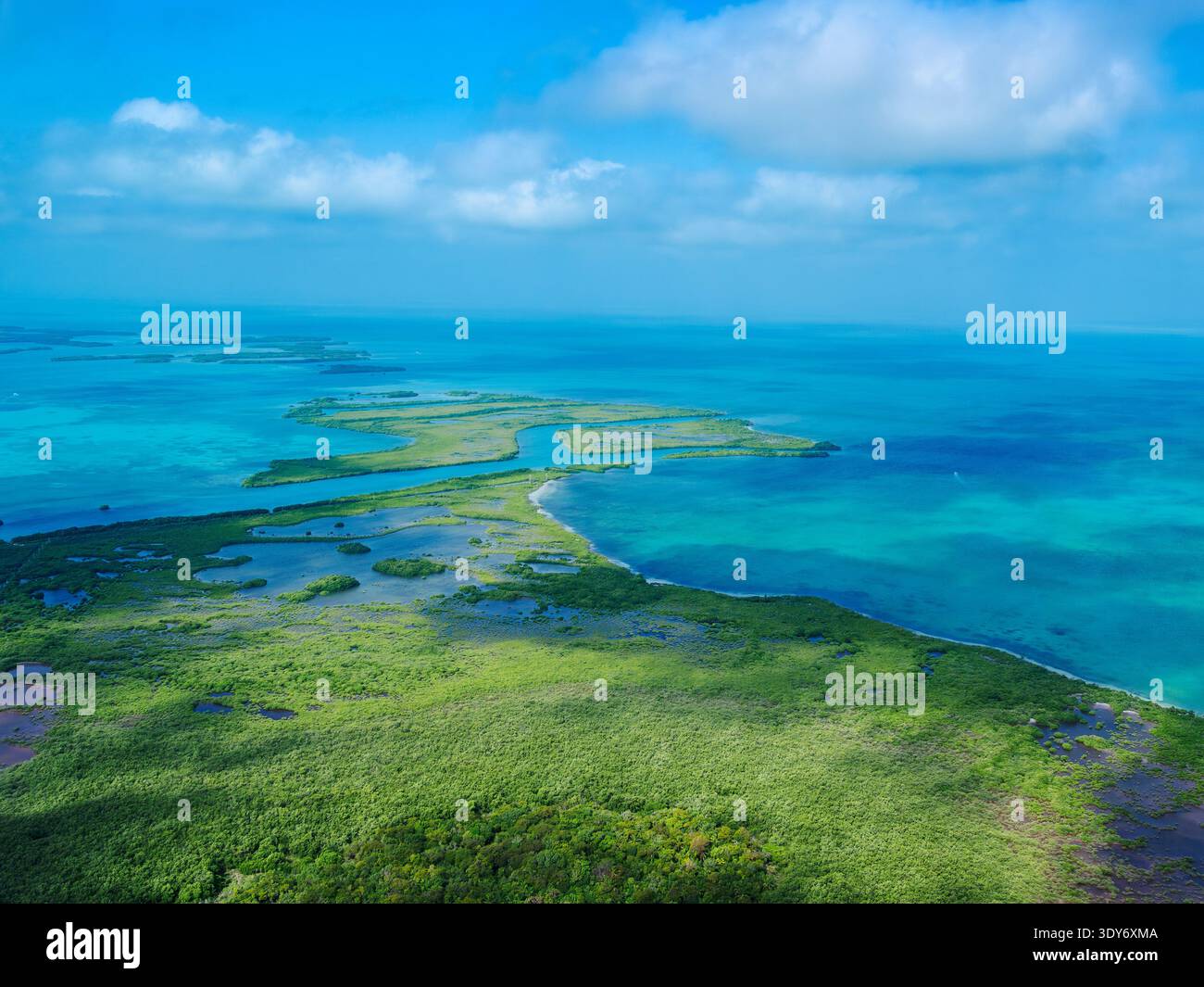 Aerial view showing the lush greenery and clear waters of Ambergris Caye in Belize, showcasing nature and coastal beauty Stock Photo
