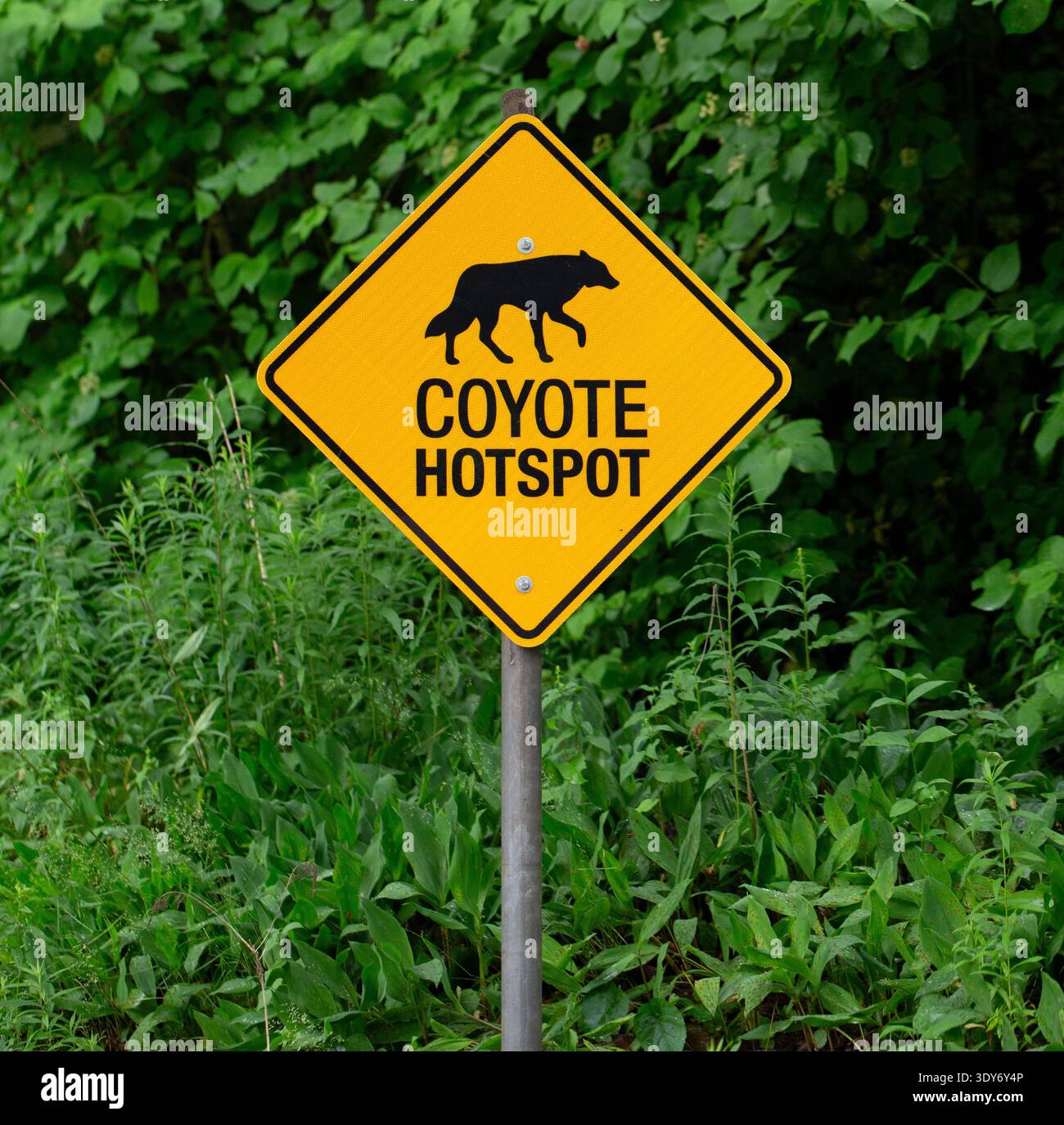 Coyote warning sign hi-res stock photography and images - Alamy