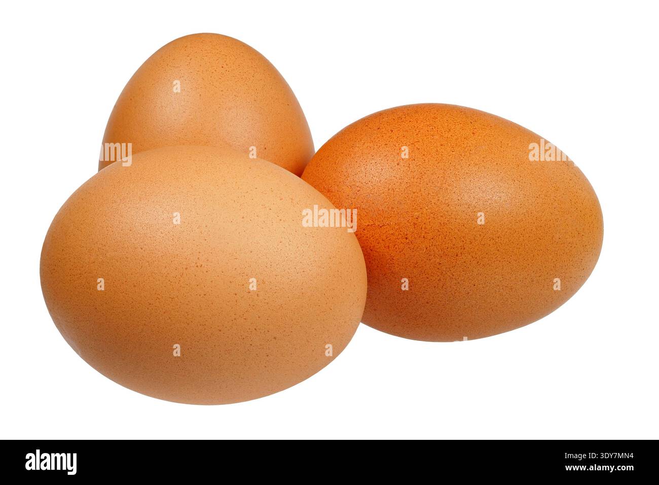 Three brown chciked eggs isolated on white background Stock Photo