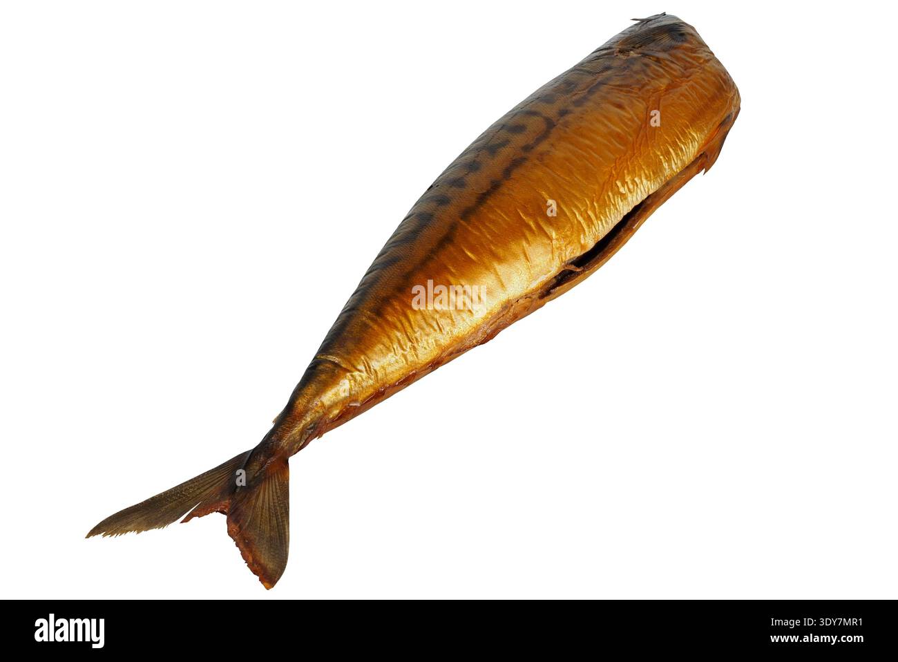 Smoked mackerel fish isolated on white background Stock Photo