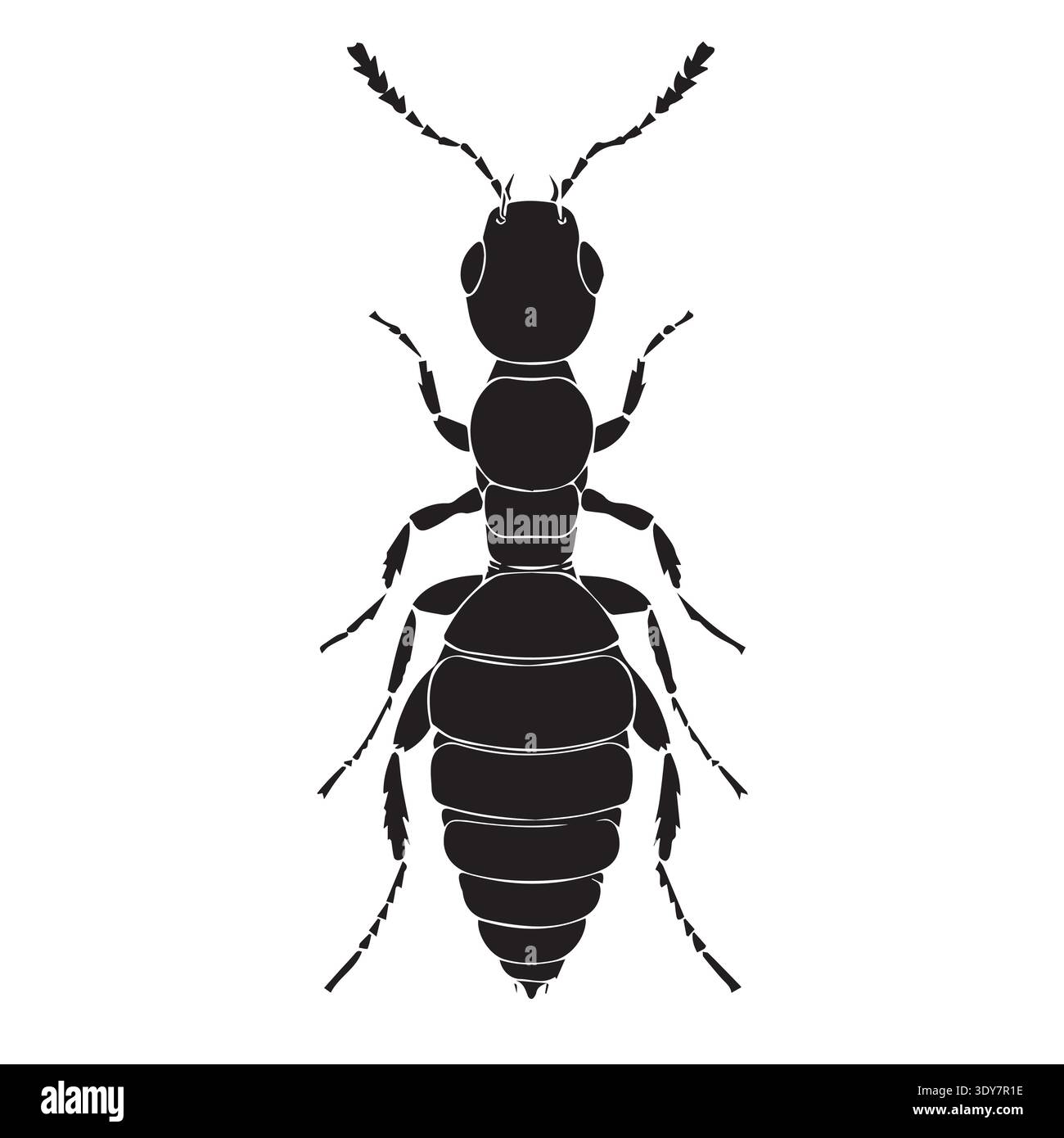 Detailed Ant Insect Silhouette Vector - Top View Bug Icon Stock Vector