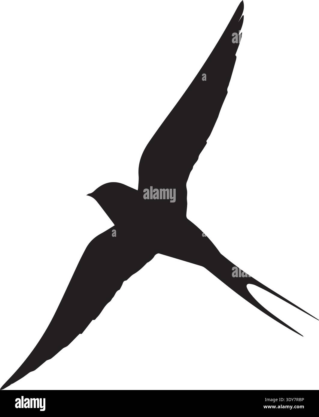Black swallow silhouette soaring with forked tail on white background. Stock Vector