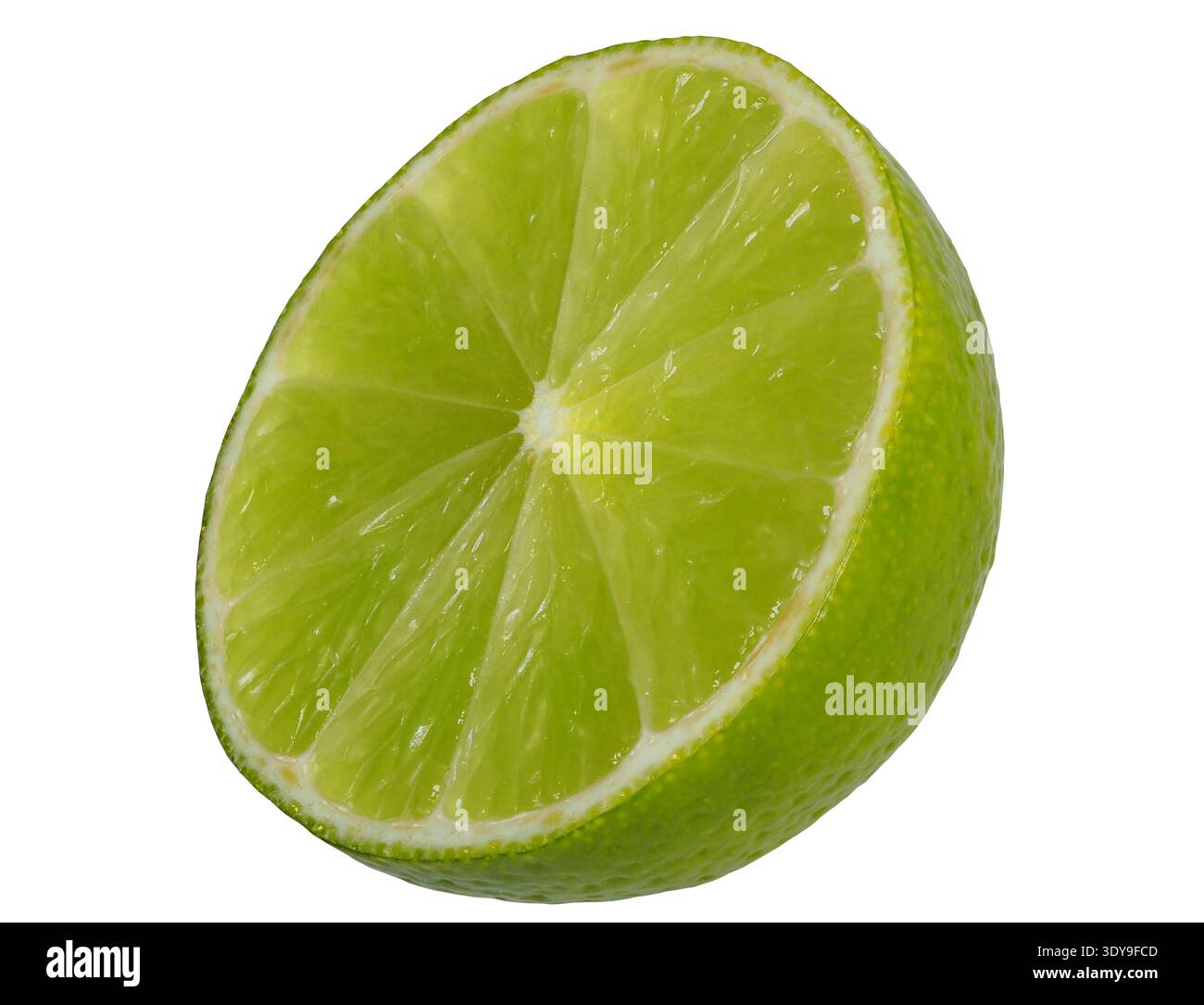 Green lime half on white background. Stock Photo