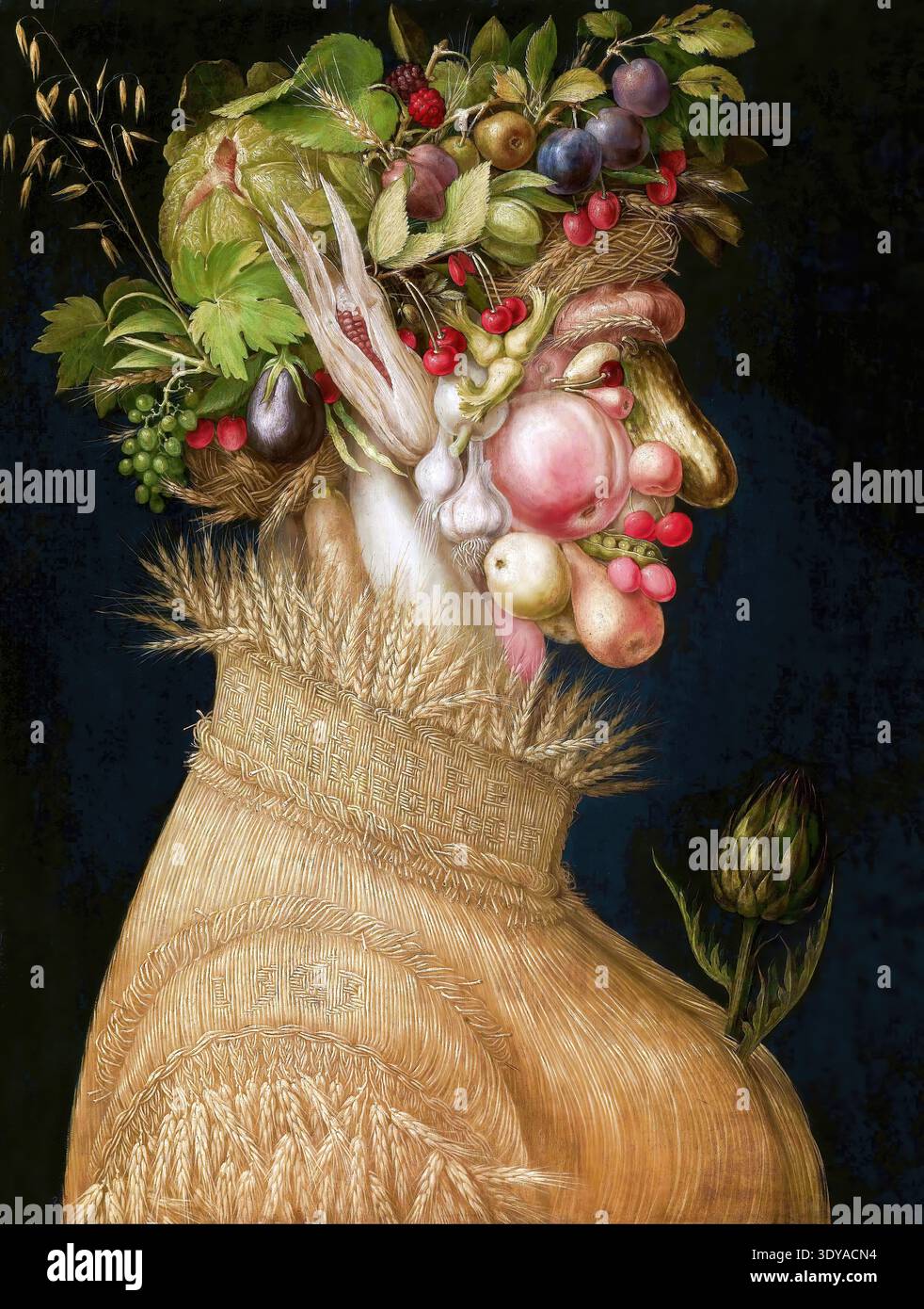 Summer, 1563 painting by Giuseppe Arcimboldo Stock Photo - Alamy