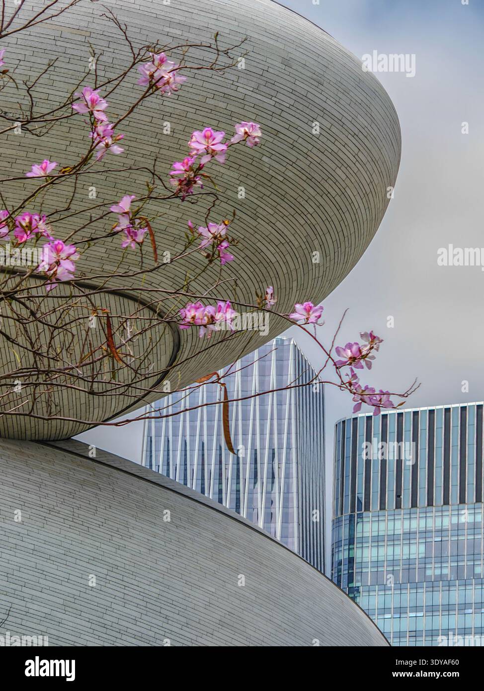 Structure In Architecture Architectural Structures Subject