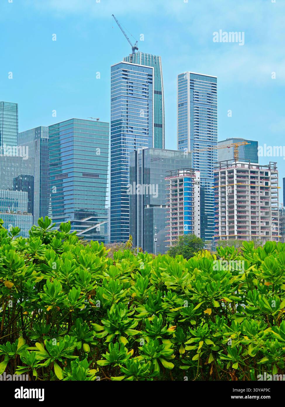 Bustling high rise buildings hi-res stock photography and images - Alamy
