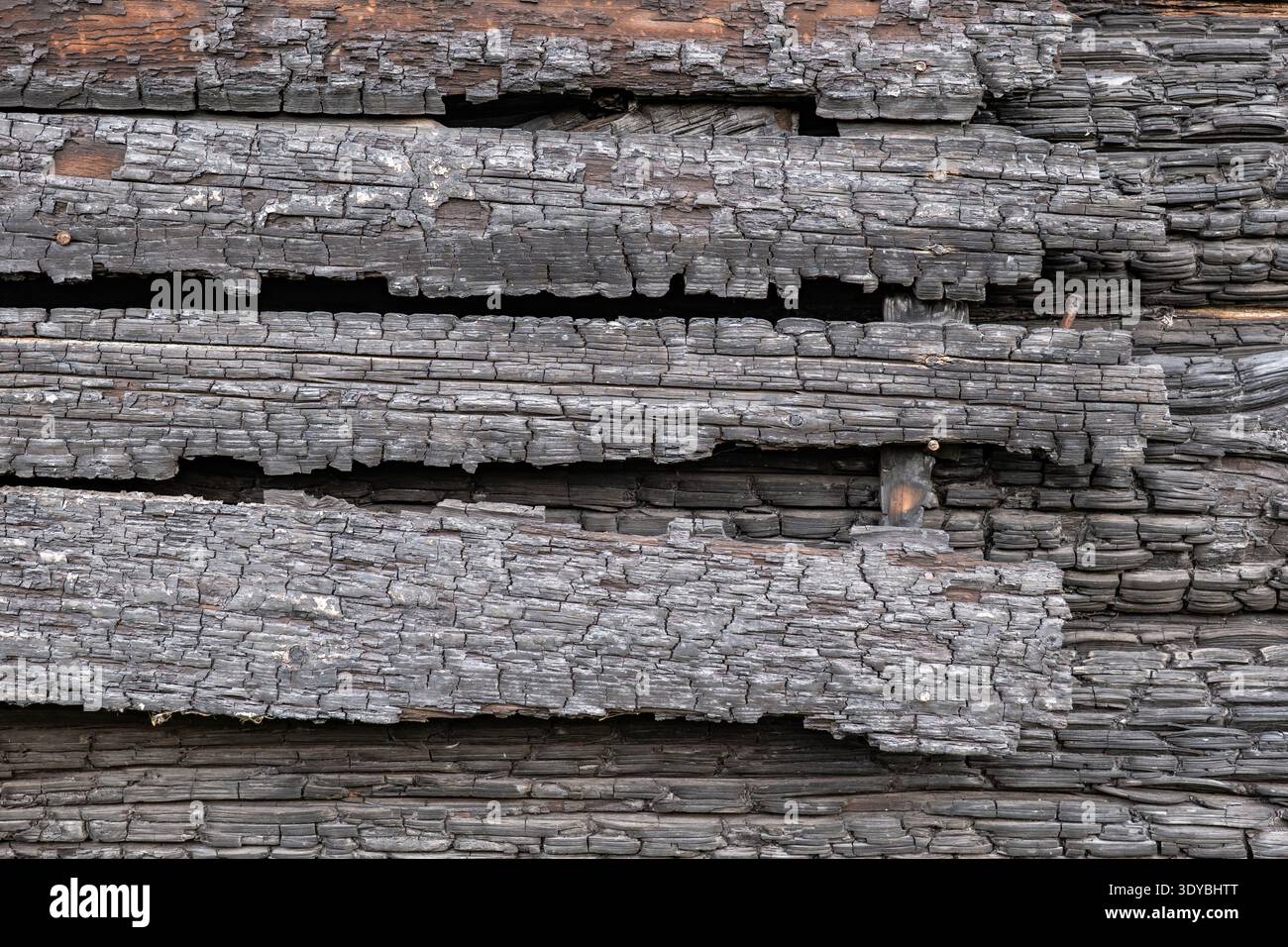 Charred wood planks showing fire damage and black ash texture background Stock Photo