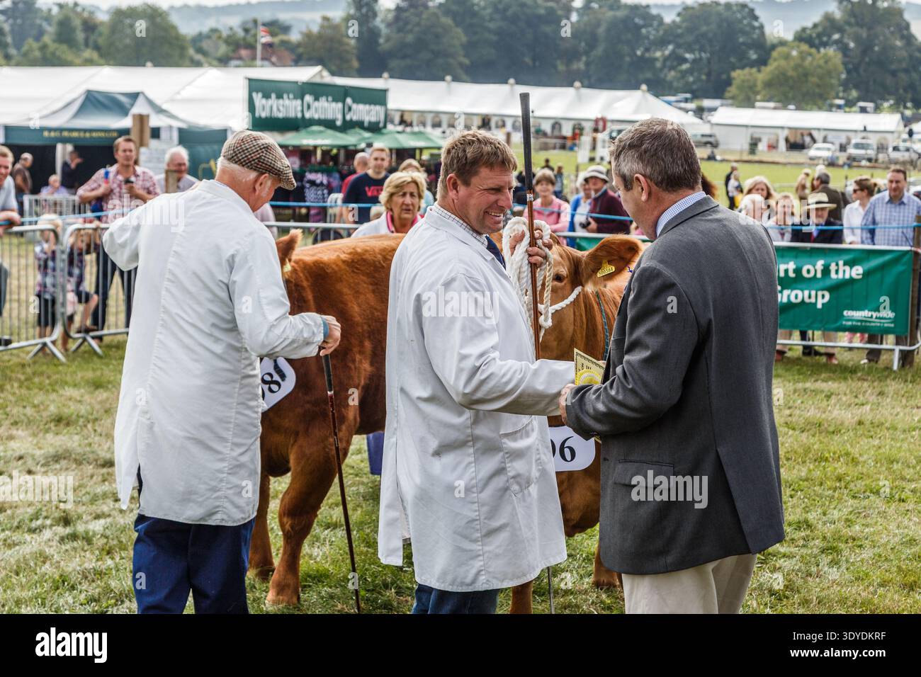 Receiving Show Receiving a certificate hi-res stock photography and images - Alamy