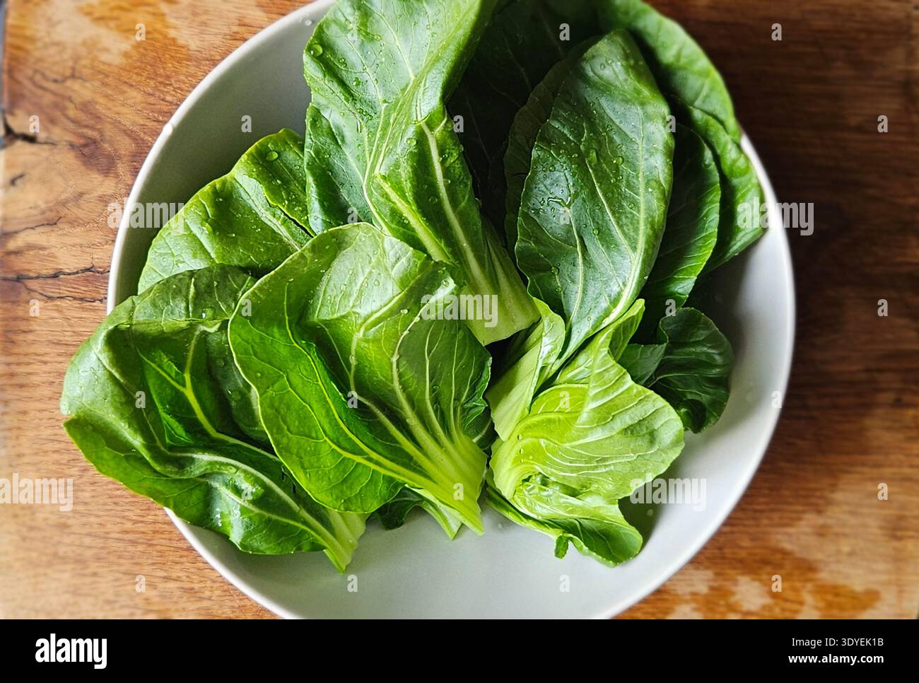 Fresh bok choy leaves in bowl on wooden table organic Asian leafy vegetable - Smartphone Captured Stock Image