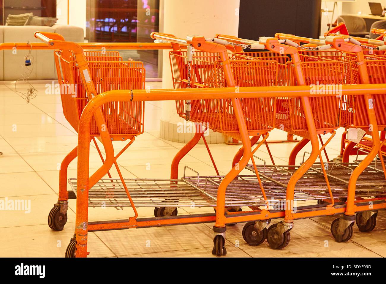 Orange shopping carts are arranged in a retail store interior featuring ...