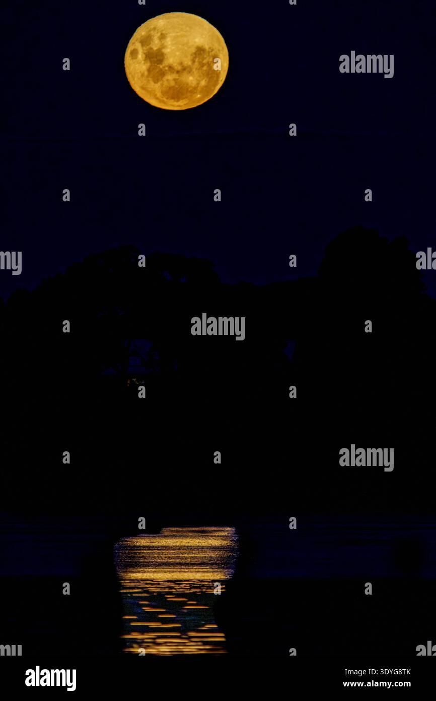 Blood moon during rising before eclipse on black negative space background in vertical composition. Stock Photo
