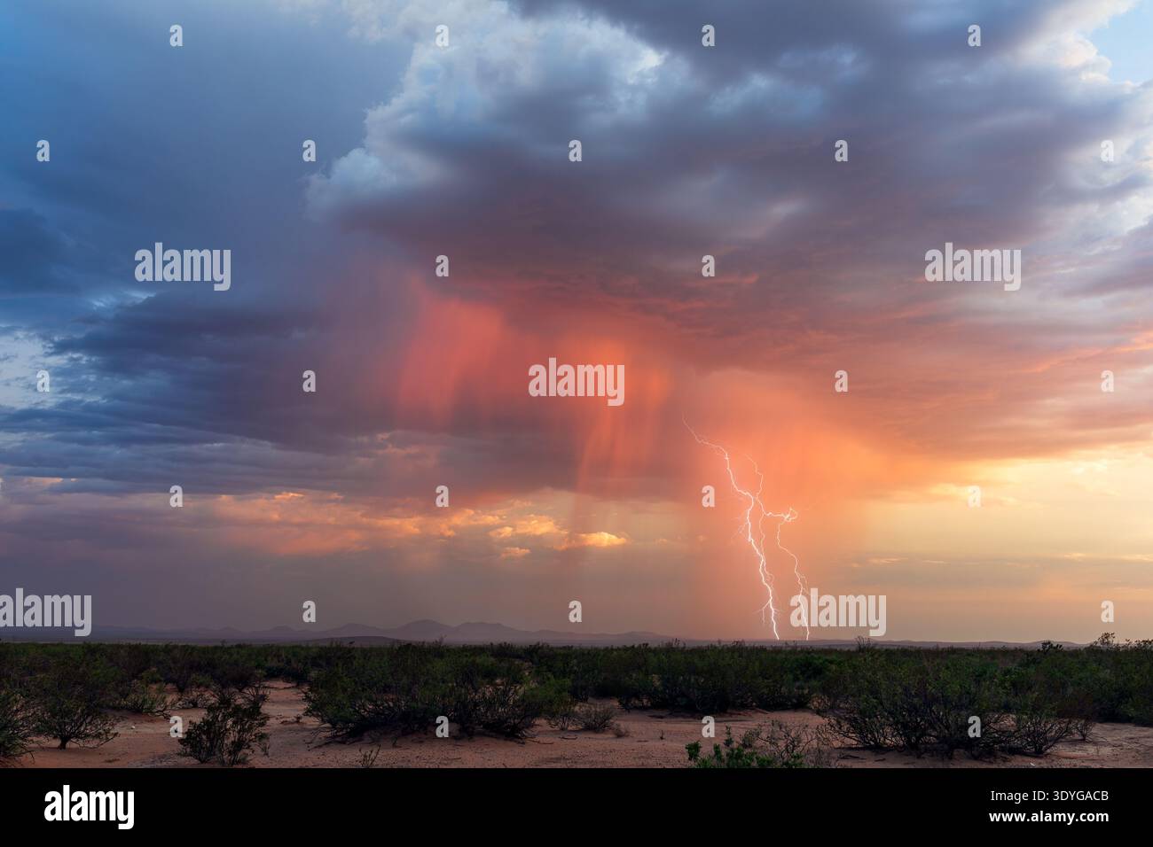 Desert thunderstorm and lightning strike at sunset in New Mexico Stock ...