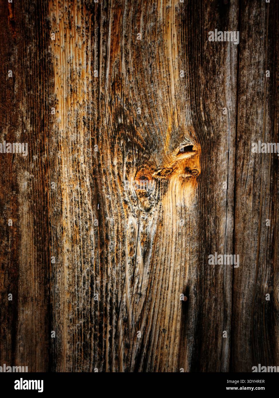Weathered timber surface showcasing its intricate grain and a prominent knot. The natural wood texture appears in shades of brown - Smartphone Captured Stock Image