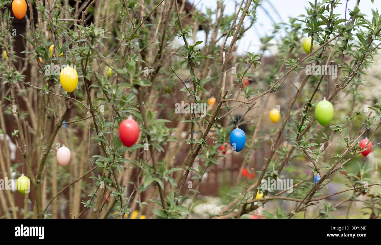 Multiple colorful Easter eggs decorating tree branches in blooming spring orchard Stock Photo