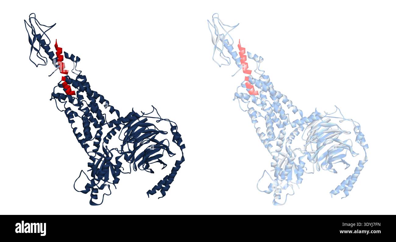 maps glp-1 pdf Risk of pancreatic cancer associated with receptor agonist therapy Dose:FOUNDAYO 0.8MG Ro Subscription: GLP-1 Membership Collagen