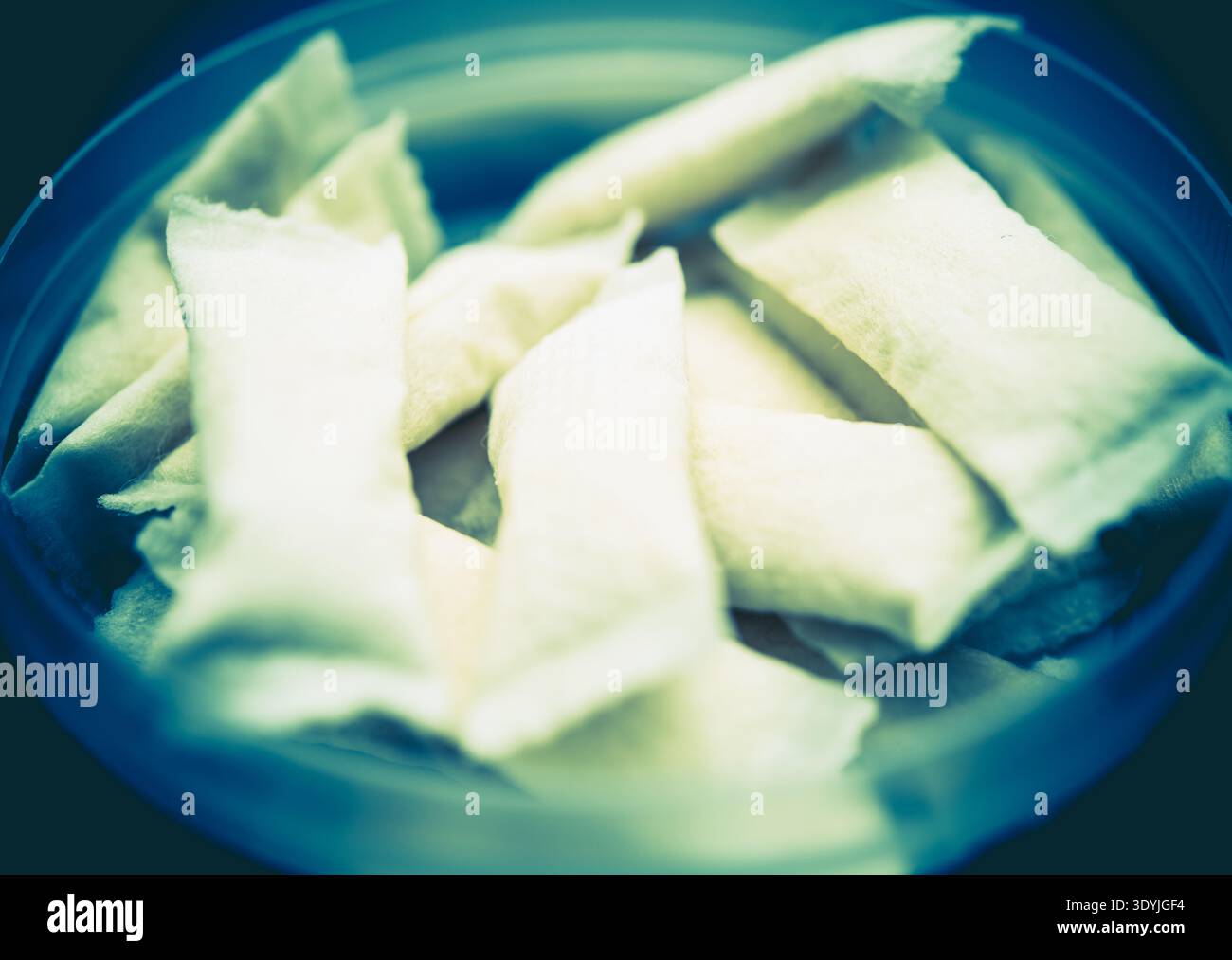 white chewing tobacco Chewing tobacco hi-res stock photography and images