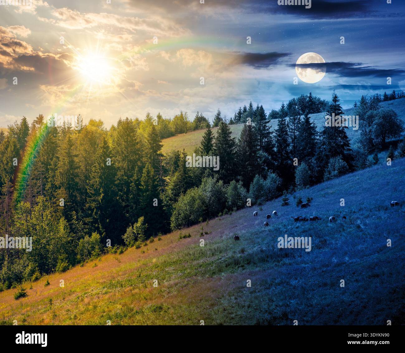 coniferous forest on the steep hillside meadow in summer. day and night time change concept. mountain landscape with sun and moon. epic nature scenery Stock Photo