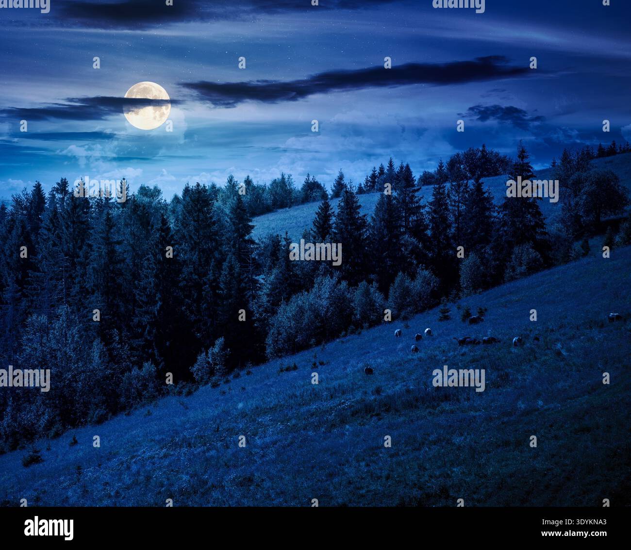 coniferous forest on a steep hillside meadow in summer at night. mountain landscape in full moon light. beautiful nature scenery. mysterious green env Stock Photo