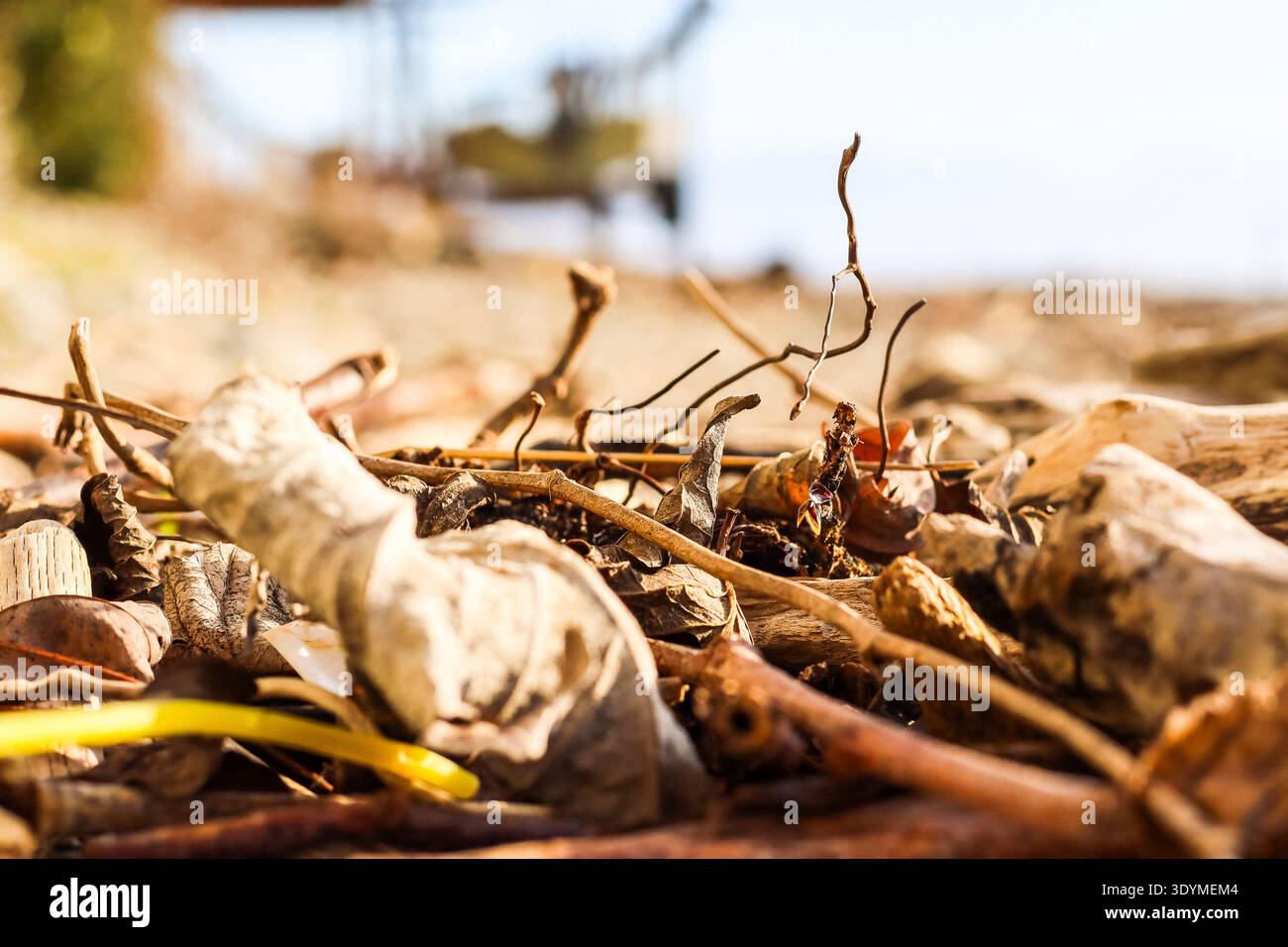 Scattered dry branches, leaves and small litter on pebble beach foreground with blurred boat behind Stock Photo