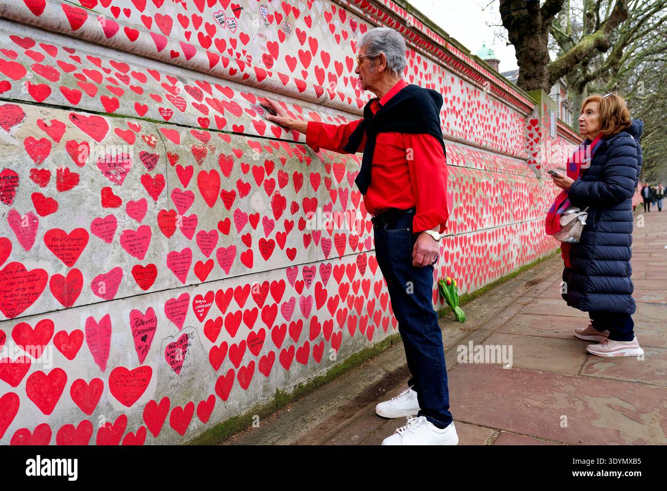 National Covid Memorial Wall on Albert Embankment on a Day of Reflection for the people who died during the COVID-19 pandemic. Stock Photo