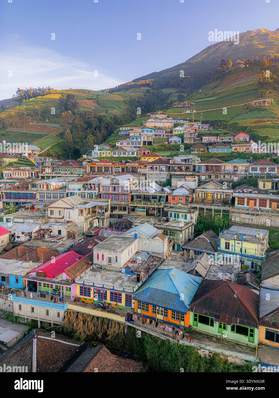 aerial photo row of houses at Butuh Village Magelang or its known as ...