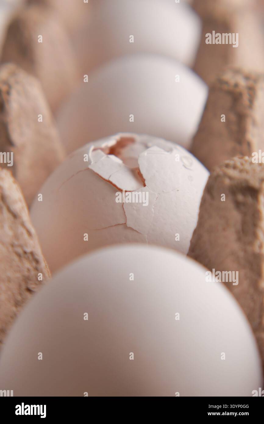 Eggs are placed in a carton in a kitchen Stock Photo