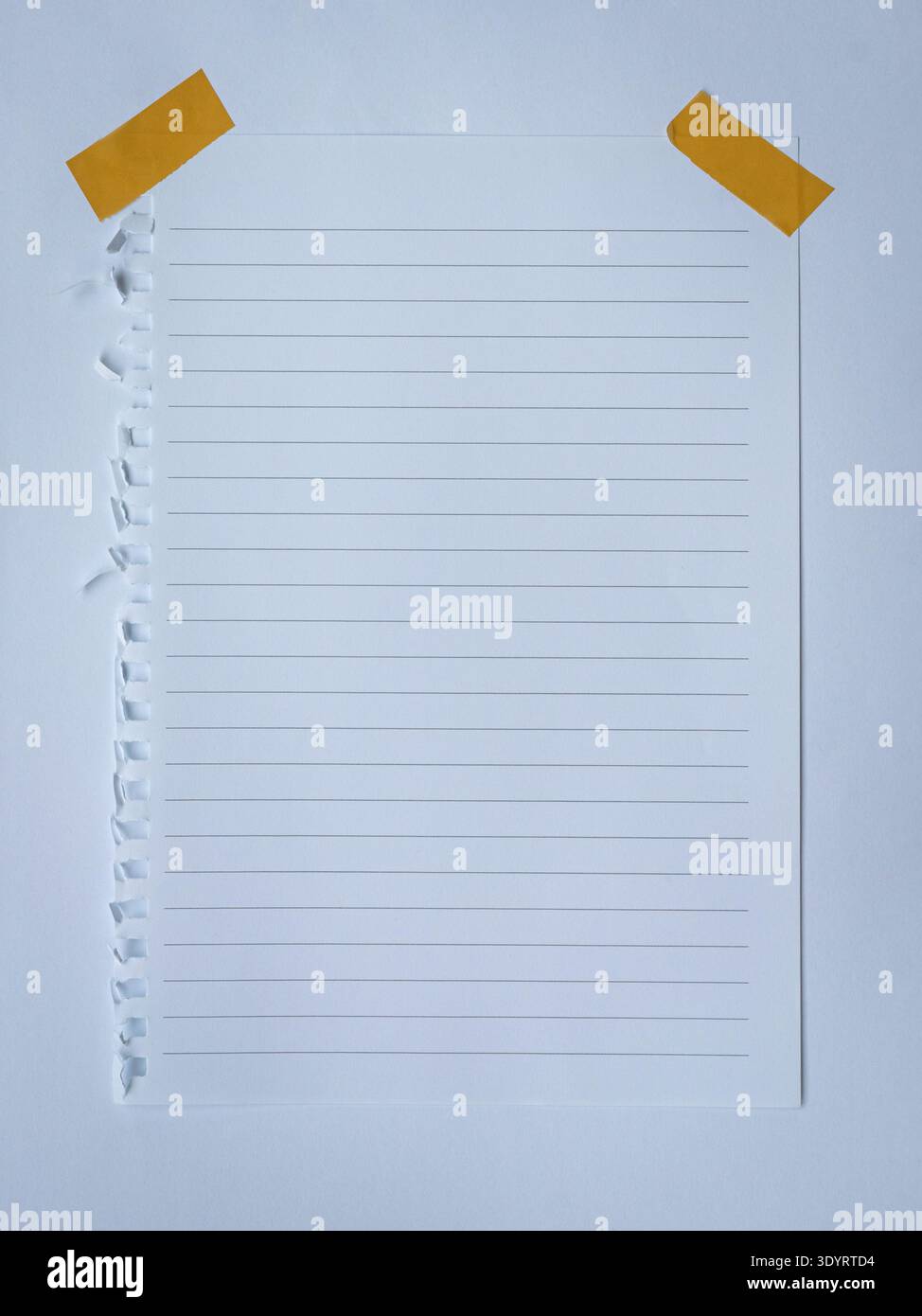 Torn lined paper taped on white paper. Copy space. Stock Photo