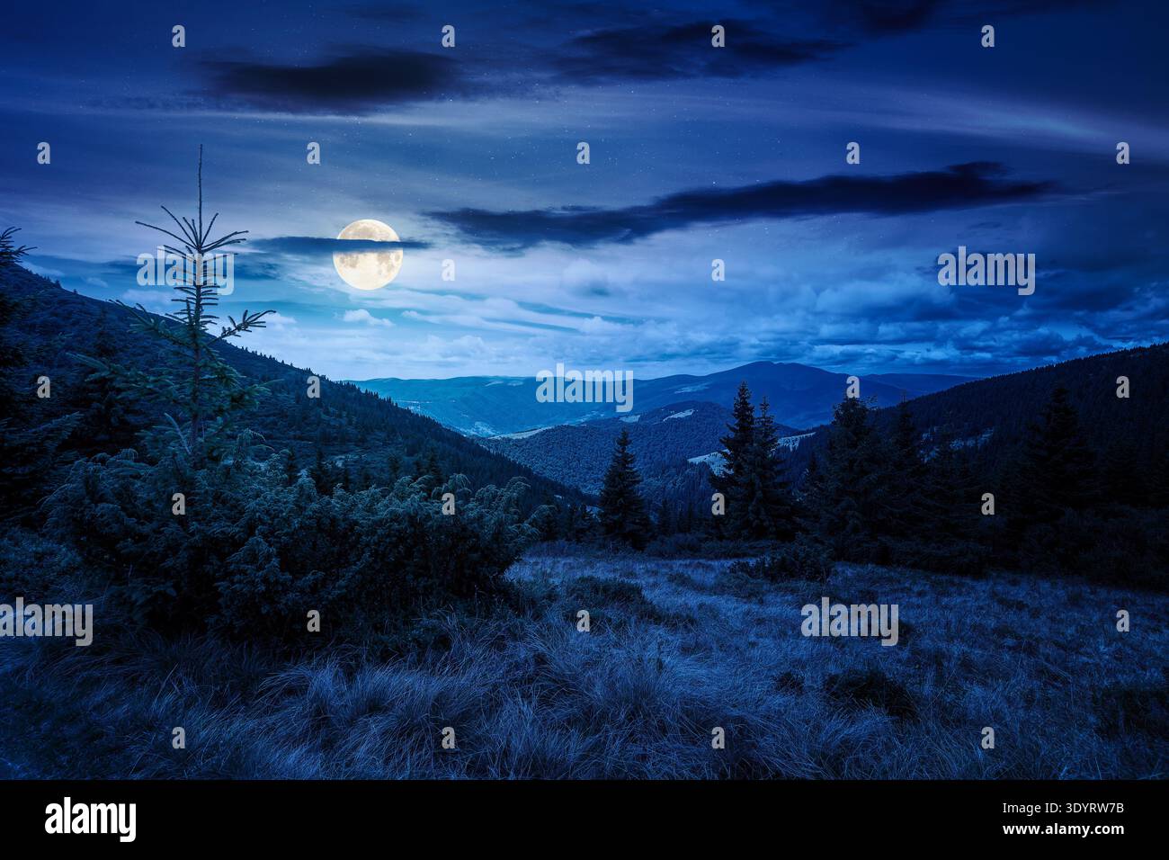 hillside of mountain range with coniferous forest and grassy meadow at night. full moon over beautiful summer landscape with alp. mysterious nature ba Stock Photo