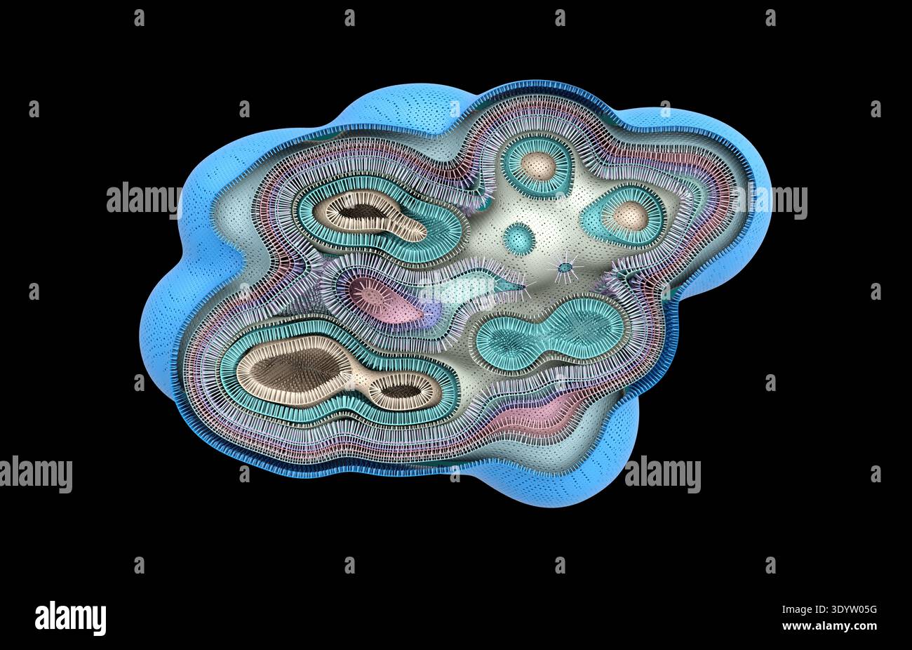 Cell cross section membrane layers hi-res stock photography and images ...