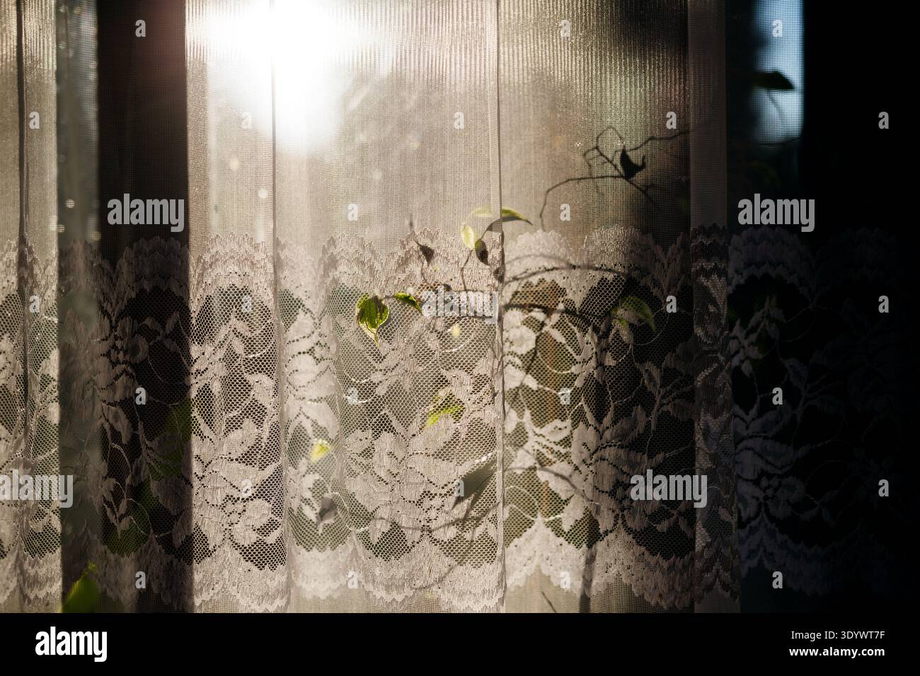 Sunlight shining through retro lace curtain on window. Stock Photo