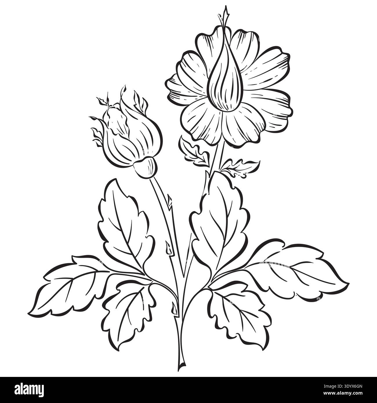 Vector flower floral black silhouette hand drawn. Botanical illustration on white background. Elegant spring nature element with leaves, flowers Stock Vector