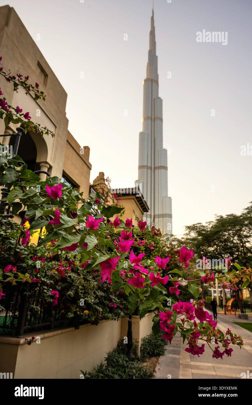 A vertical photograph capturing a towering modern skyscraper in Dubai, United Arab Emirates, rising against a pale sky. In the foreground, a branch of Stock Photo