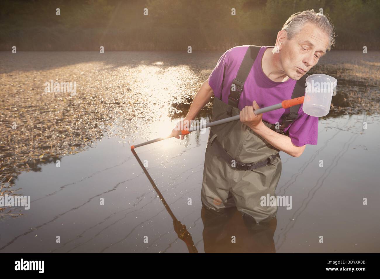 Waders Sample Water quality analyst dressed in chest wader collecting samples Stock ...