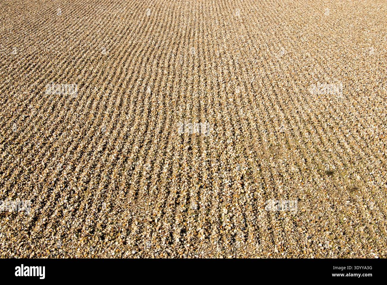 Raked soil pebbles in formal garden Stock Photo