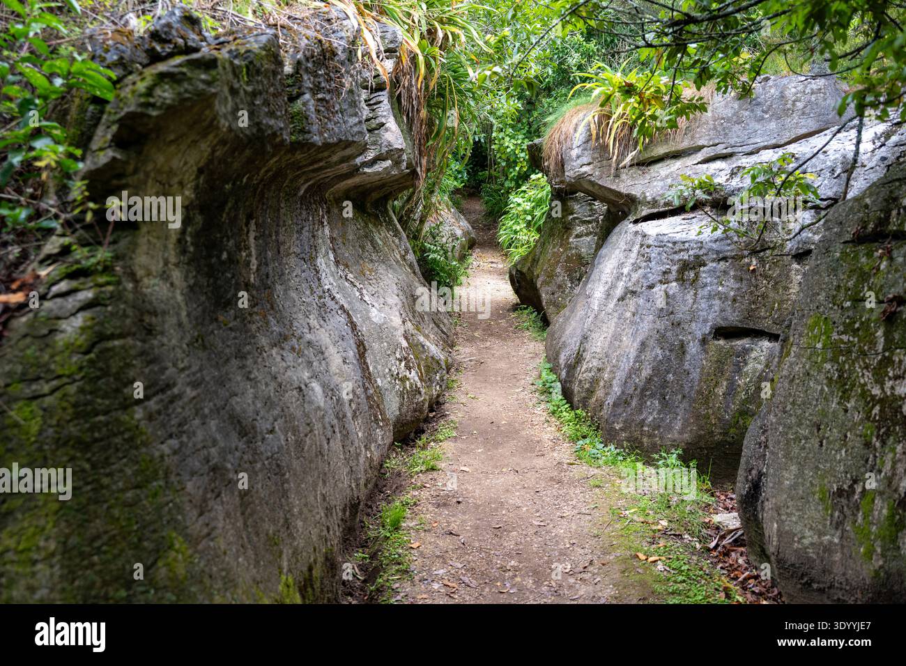 Labyrinth Rocks Park Nz Abel tasman national park new zealand hi-res stock photography and ...