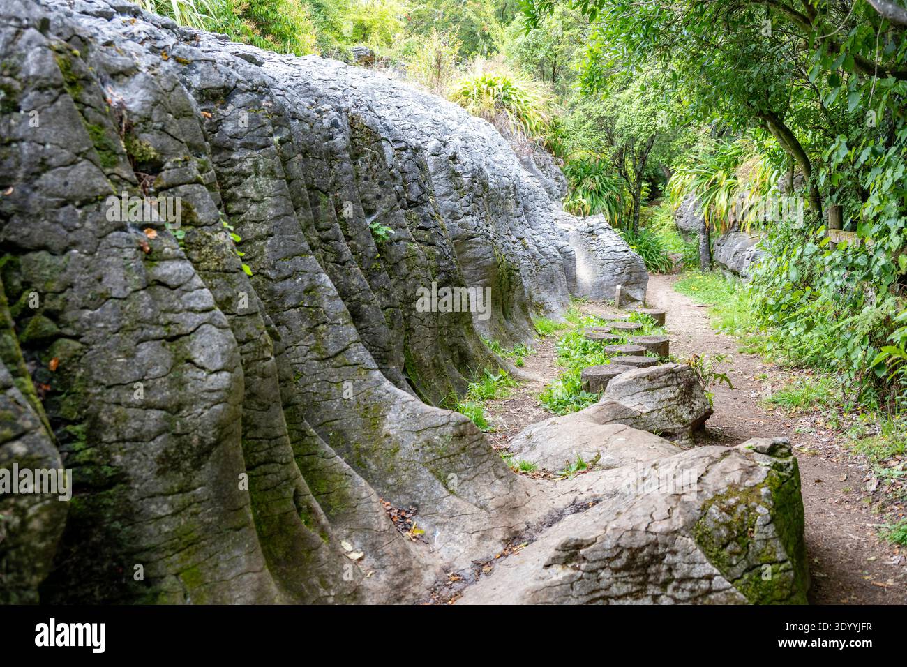 Labyrinth Rocks Park Nz Abel tasman national park new zealand hi-res stock photography and ...