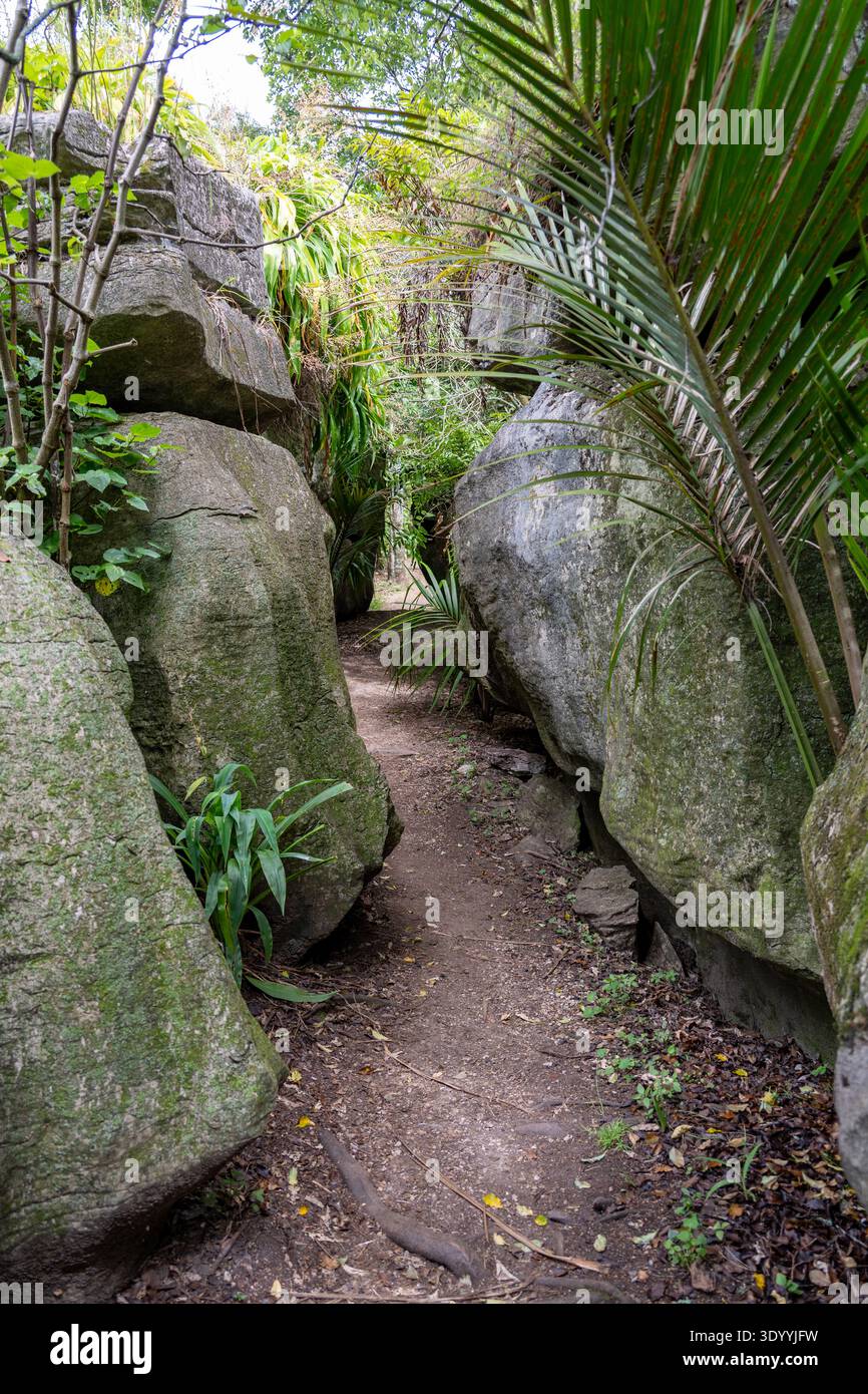 Labyrinth Rocks Park Nz Abel tasman national park new zealand hi-res stock photography and ...