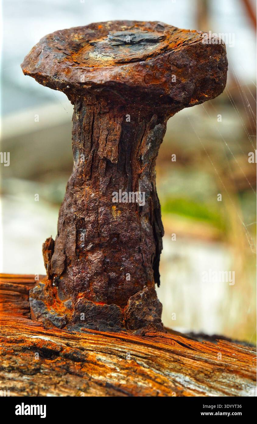 Rusted fitting for rope tie downs, on old timber boat Stock Photo