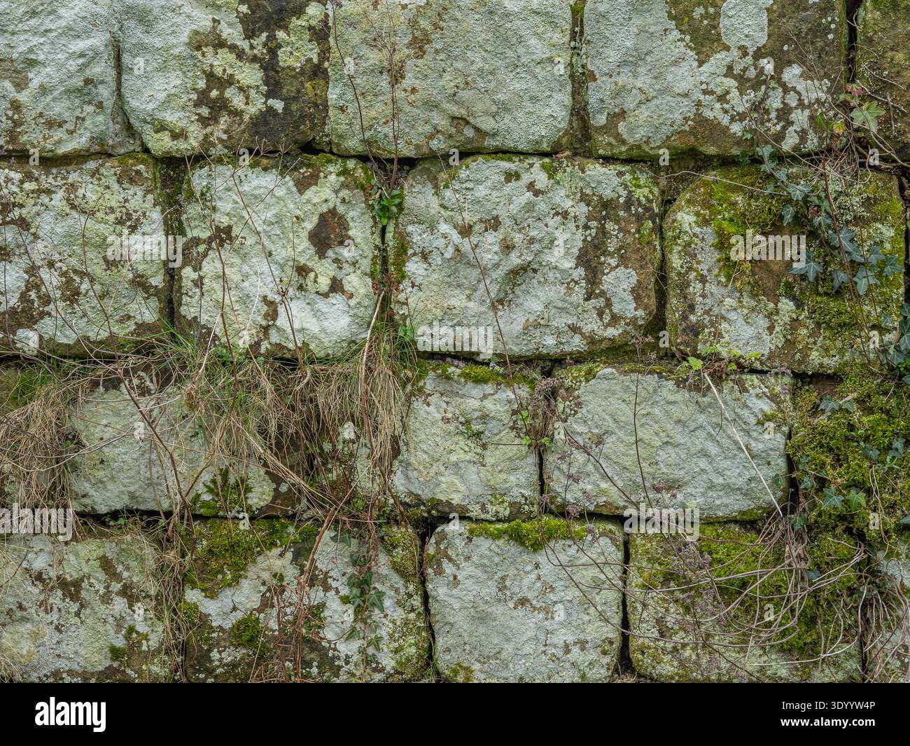 Ancient limestone block wall texture with natural stone masonry pattern ...
